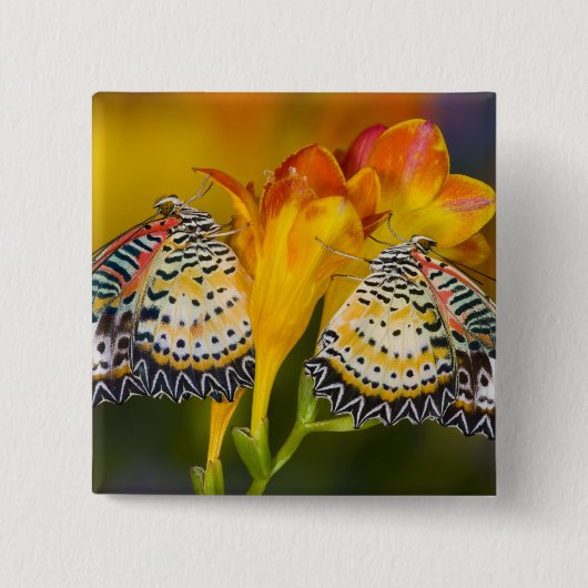 Tropical Butterfly Twins Button (Vorderseite)