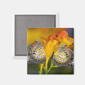 Tropical Butterfly Twins Magnet (Vorderseite/Rückseite)