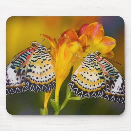 Tropical Butterfly Twins Mousepad (Vorne)