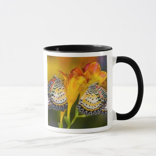 Tropical Butterfly Twins Tasse (Rechts)