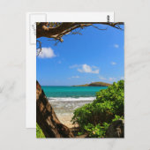Tropical Caribbean Beach Postkarte (Vorne/Hinten)