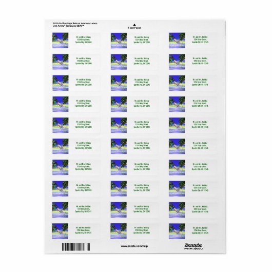 Tropical Christmas Dolphin (Vorne)