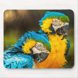 Tropical Companions Mousepad