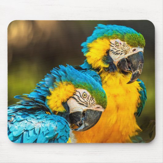 Tropical Companions Mousepad (Vorne)