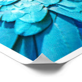 Tropical Companions Poster (Ecke)