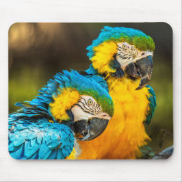 Tropical Companions Wildlife Photo Wall Art Print Mousepad