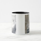 Tropical Cyclone Aila Tasse (Zentrum)