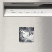 Tropical Cyclone Daman Magnet (In Situ (Geschirrspüler))