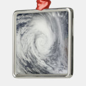 Tropical Cyclone Dianne 2 Silbernes Ornament (Links)