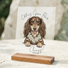 Tropical Dachshund Wedding Drinks On Me Acrylschild