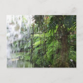 Tropical dream postkarte (Vorderseite)