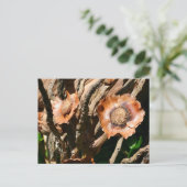 Tropical Dried Coconut Flowers Floral Postkarte (Stehend Vorderseite)
