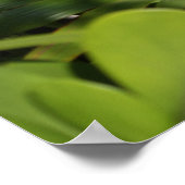 Tropical Fan Poster (Ecke)