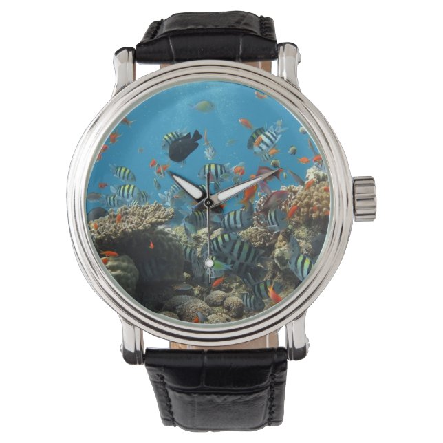 Tropical Fish Chaos Armbanduhr (Vorderseite)