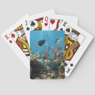 Tropical Fish Chaos Spielkarten