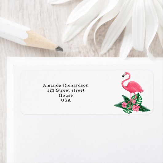 Tropical Flamingo (Insitu)