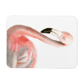 Tropical Flamingo Bird Magnet (Horizontal)