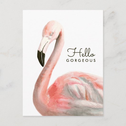 Tropical Flamingo Bird Postkarte (Vorderseite)