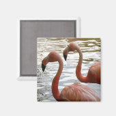 Tropical Flamingo Birds Magnet (Vorderseite/Rückseite)