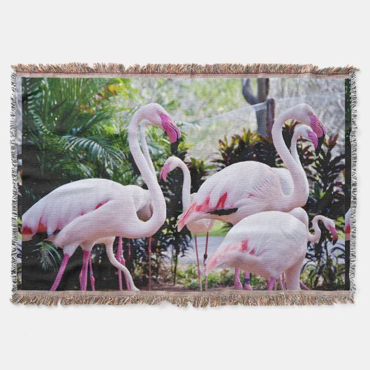 Tropical Flamingo-Paradies-Decke Decke