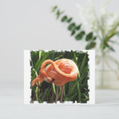 Tropical Flamingo Postcard Postkarte (Stehend Vorderseite)