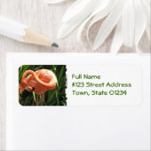 Tropical Flamingo Return Address Label (Insitu)