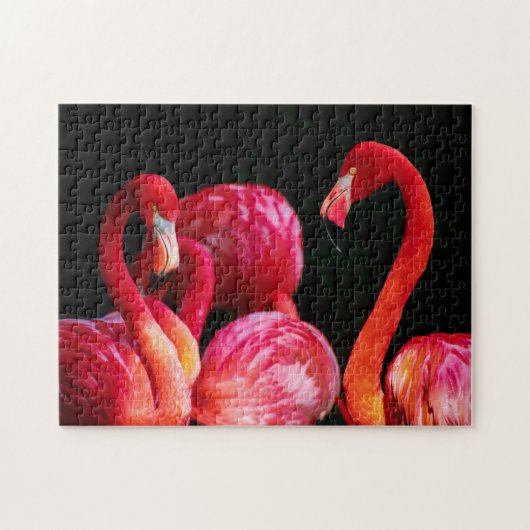 Tropical Flamingos Puzzle (Horizontal)
