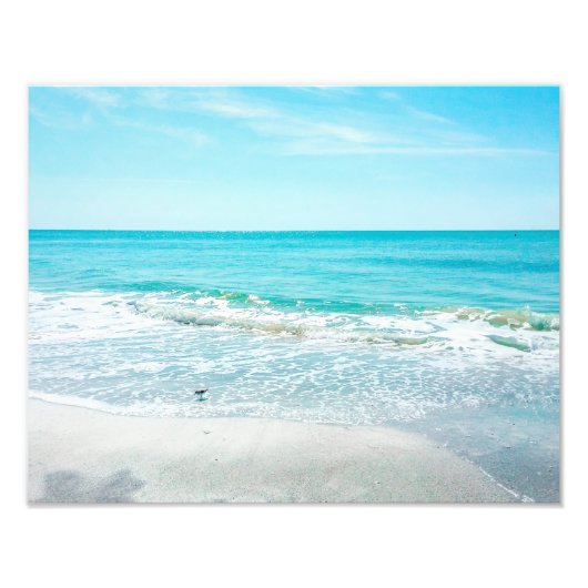 Tropical Florida Beach Sand Ocean Waves Sandpiper Fotodruck (Vorne)