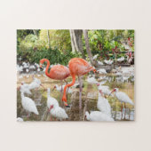Tropical Florida Pink Flamingos Landschaftlich Puzzle (Horizontal)