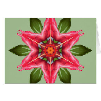 Tropical Flower