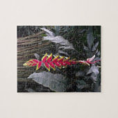 Tropical Flower Puzzle (Horizontal)