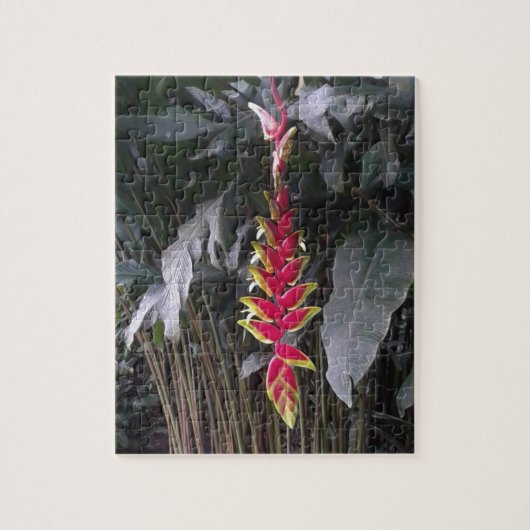 Tropical Flower Puzzle (Vertikal)