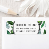 Tropical Foliage Palm Blätter Pflanze Rücksendeadr (Insitu)