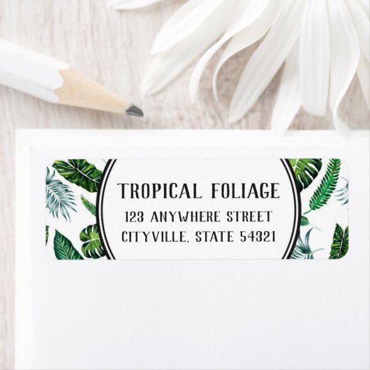 Tropical Foliage Palm Blätter Pflanze Rücksendeadr (Insitu)