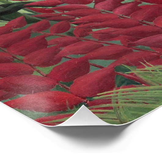 Tropical Forest with Monkeys, 1910 (Oil on Canvas) Poster (Ecke)