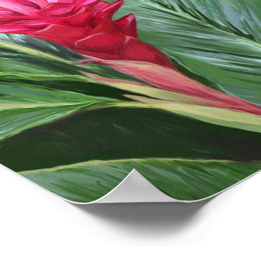 Tropical Ginger Blume Poster (Ecke)