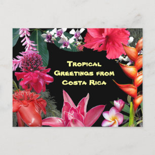 Tropical Greetings from Costa Rica Postkarte
