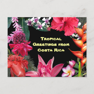 Tropical Greetings from Costa Rica Postkarte