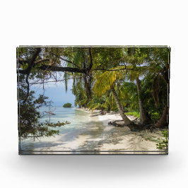 Tropical Grove Beach Fotoblock