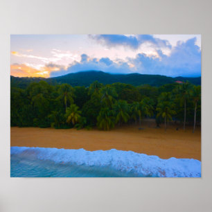 Tropical Guadeloupe Ocean Island Palm Beach Sunset Poster
