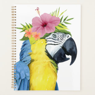 Tropical Halo - Papagei Planer