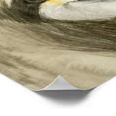 Tropical Halo | Sweet Sloth Poster (Ecke)