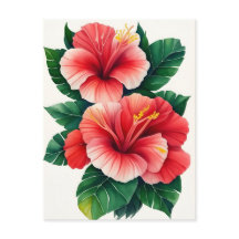 Tropical Hawaii Light Red Hibiskus