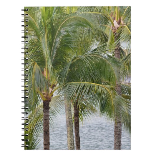 Tropical Hawaii Palm Trees Notizblock (Vorderseite)
