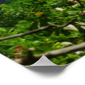 Tropical Hawaii Poster (Ecke)