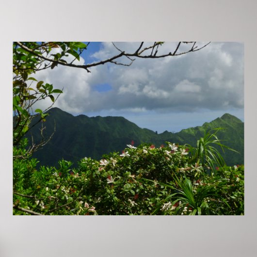 Tropical Hawaii Poster (Vorne)