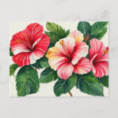 Tropical Hawaii Red Hibiskus Postkarte (Vorderseite)
