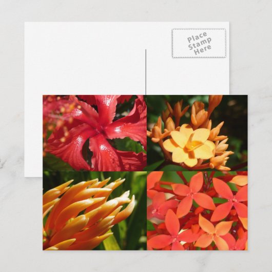 "Tropical Heat" Postkarte (Vorne/Hinten)