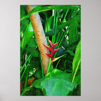 Tropical Heliconia - Spaziergang im Garten Poster