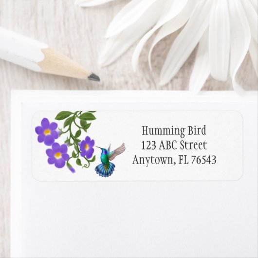 Tropical Hummingbird on Thunbergia Blume L (Insitu)